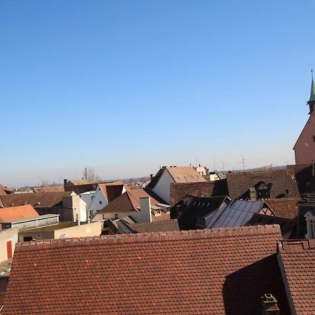 Colmar Historic Center - Cosy Appartement Petit Cathedrale 2 - Bookingalsace Eksteriør billede
